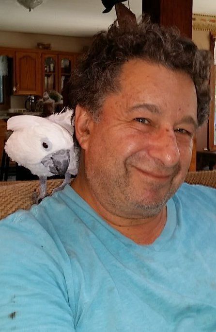 Stull, Dr. Gordon Bernard